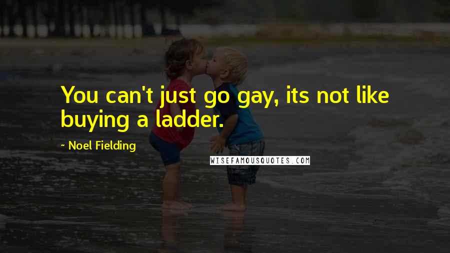 Noel Fielding Quotes: You can't just go gay, its not like buying a ladder.