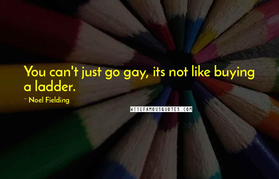 Noel Fielding Quotes: You can't just go gay, its not like buying a ladder.