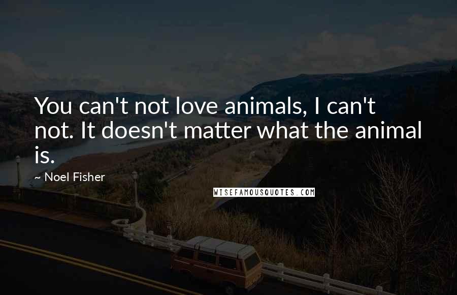 Noel Fisher Quotes: You can't not love animals, I can't not. It doesn't matter what the animal is.
