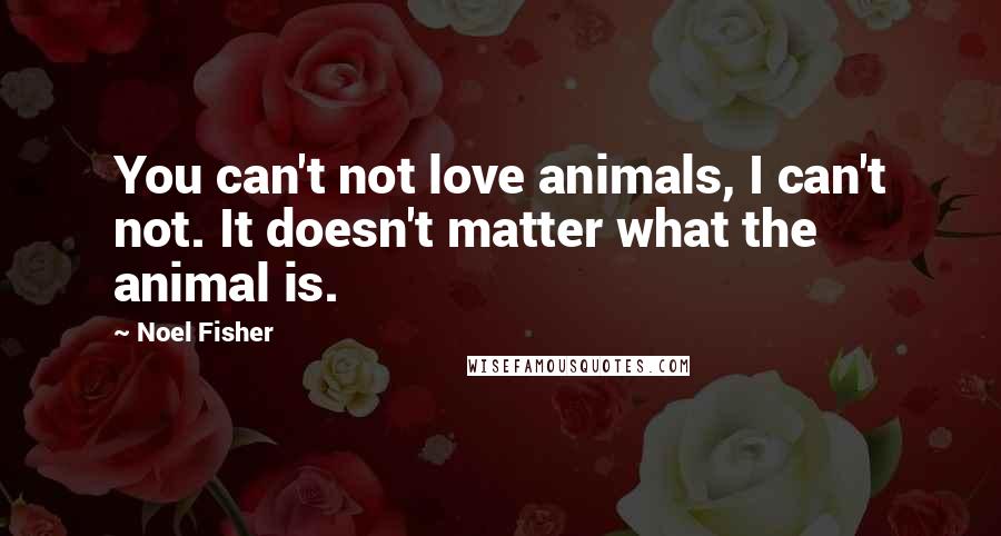 Noel Fisher Quotes: You can't not love animals, I can't not. It doesn't matter what the animal is.