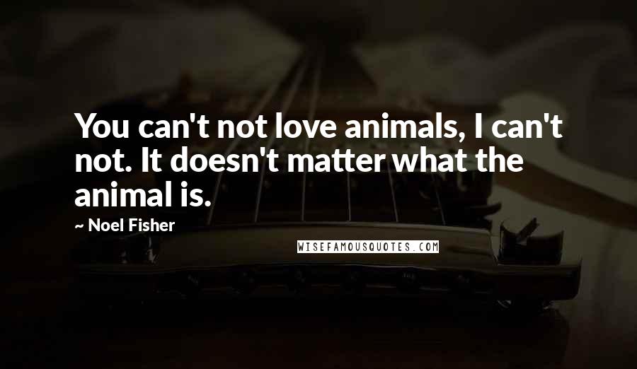 Noel Fisher Quotes: You can't not love animals, I can't not. It doesn't matter what the animal is.