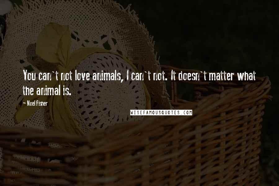 Noel Fisher Quotes: You can't not love animals, I can't not. It doesn't matter what the animal is.