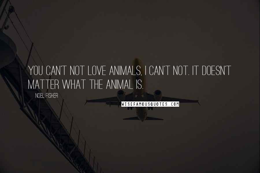 Noel Fisher Quotes: You can't not love animals, I can't not. It doesn't matter what the animal is.