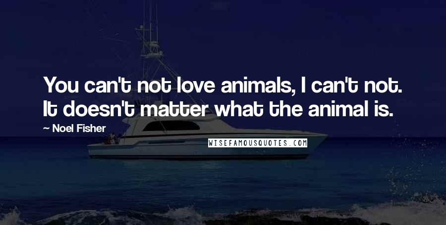 Noel Fisher Quotes: You can't not love animals, I can't not. It doesn't matter what the animal is.