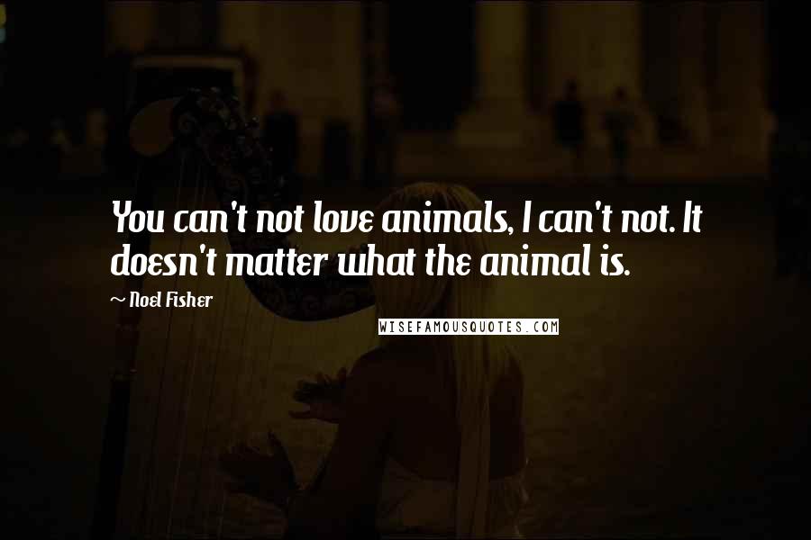 Noel Fisher Quotes: You can't not love animals, I can't not. It doesn't matter what the animal is.