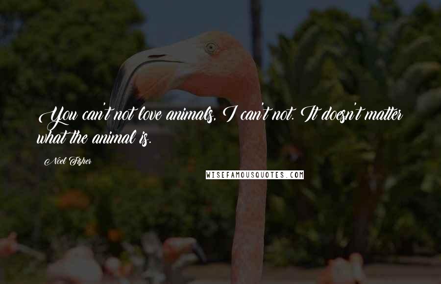 Noel Fisher Quotes: You can't not love animals, I can't not. It doesn't matter what the animal is.