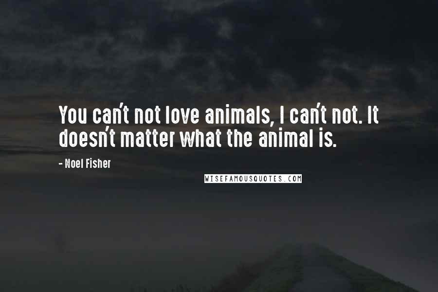 Noel Fisher Quotes: You can't not love animals, I can't not. It doesn't matter what the animal is.