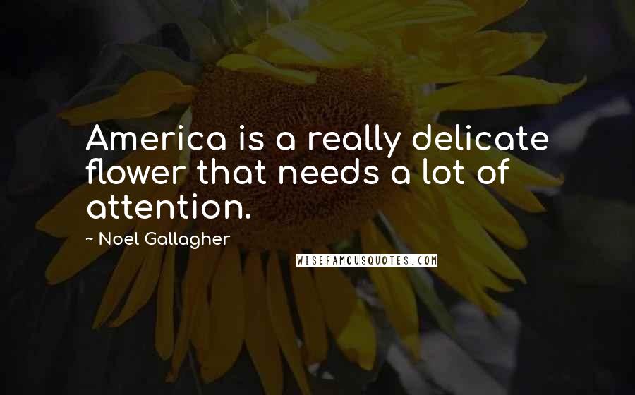 Noel Gallagher Quotes: America is a really delicate flower that needs a lot of attention.