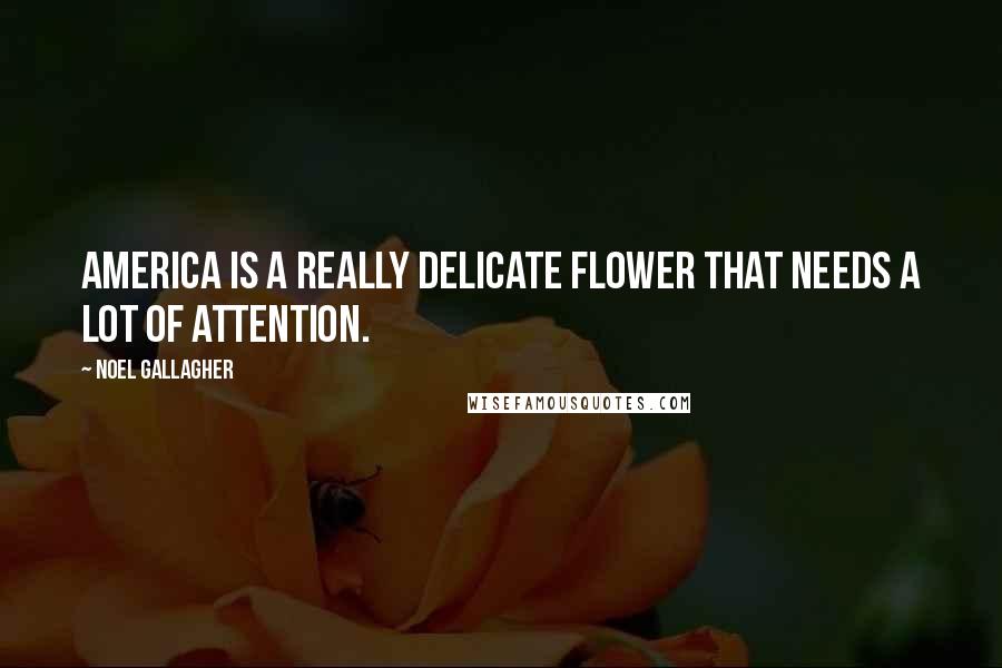 Noel Gallagher Quotes: America is a really delicate flower that needs a lot of attention.