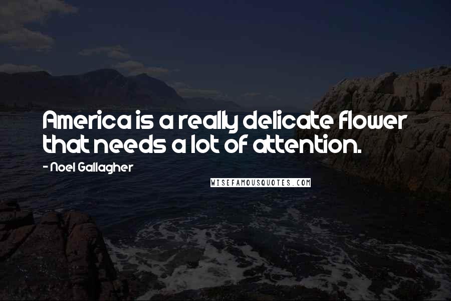 Noel Gallagher Quotes: America is a really delicate flower that needs a lot of attention.