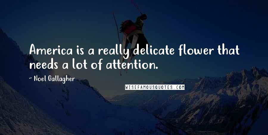 Noel Gallagher Quotes: America is a really delicate flower that needs a lot of attention.