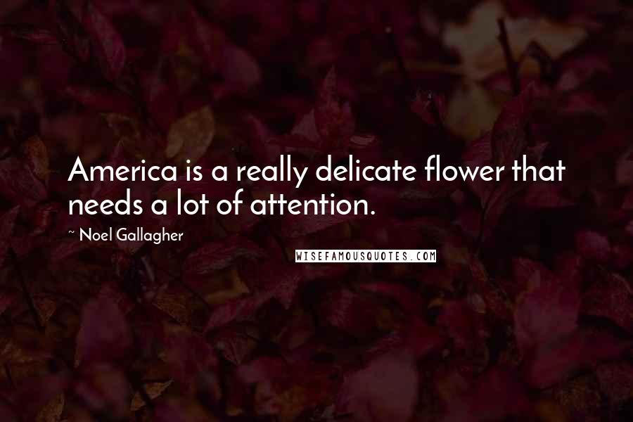 Noel Gallagher Quotes: America is a really delicate flower that needs a lot of attention.