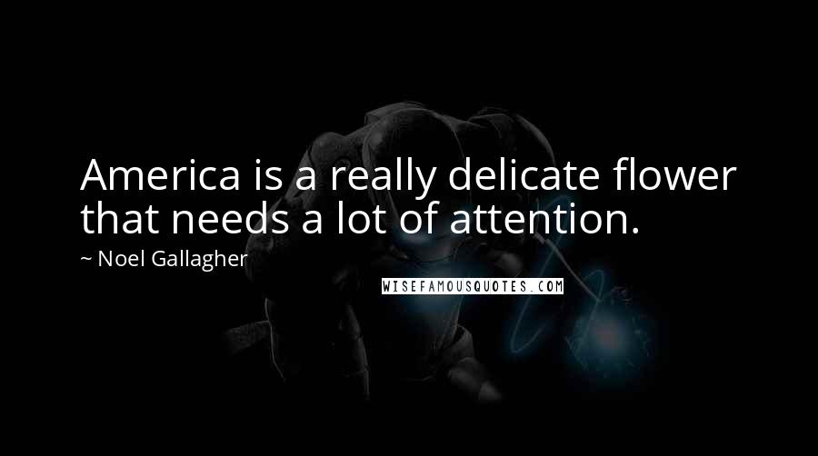 Noel Gallagher Quotes: America is a really delicate flower that needs a lot of attention.