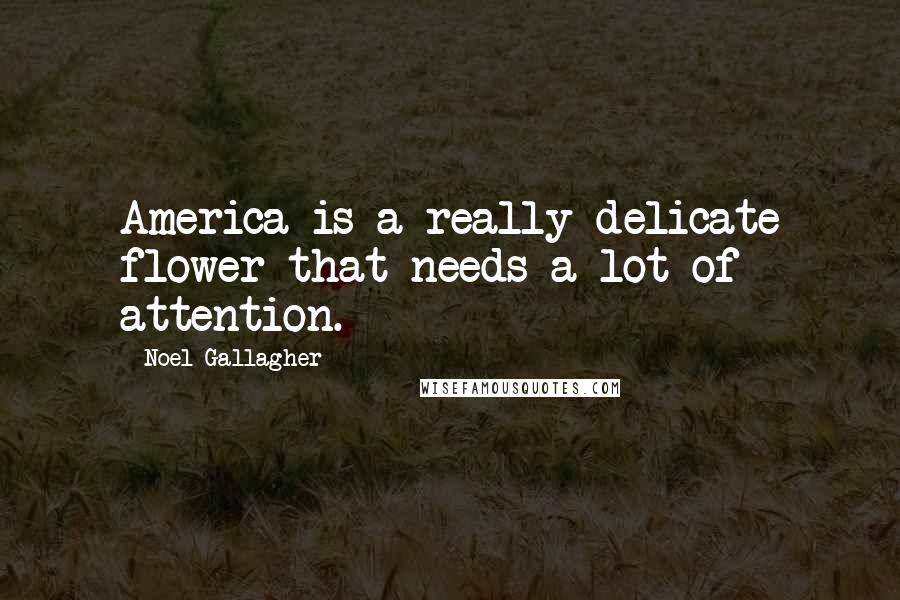 Noel Gallagher Quotes: America is a really delicate flower that needs a lot of attention.