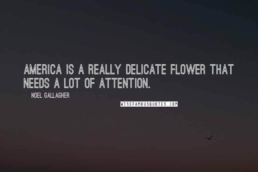 Noel Gallagher Quotes: America is a really delicate flower that needs a lot of attention.