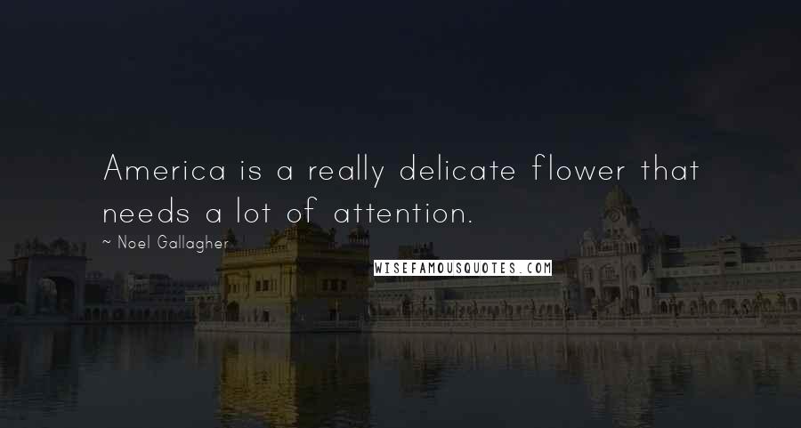Noel Gallagher Quotes: America is a really delicate flower that needs a lot of attention.