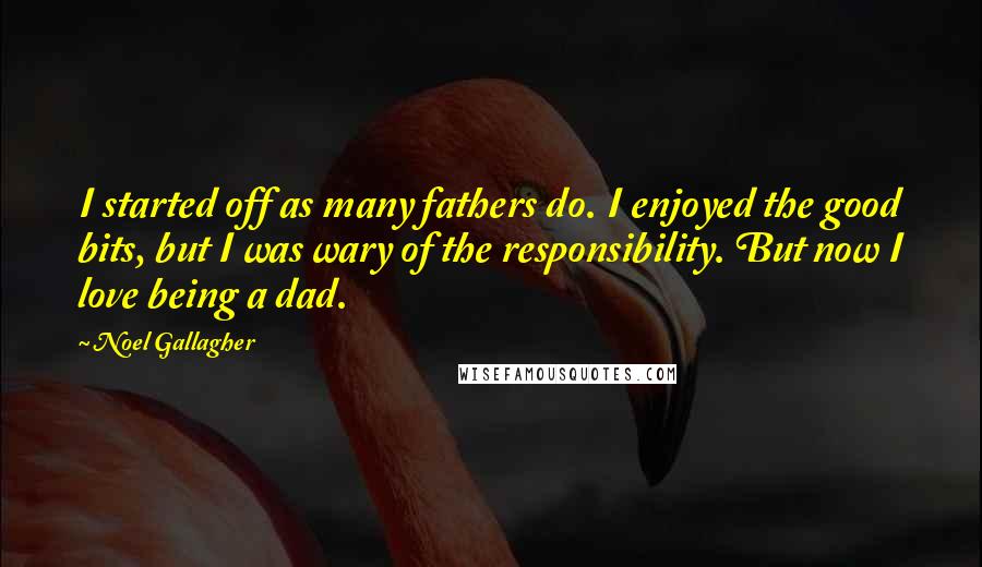 Noel Gallagher Quotes: I started off as many fathers do. I enjoyed the good bits, but I was wary of the responsibility. But now I love being a dad.