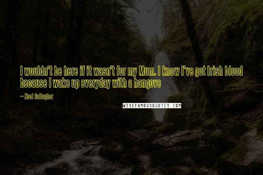 Noel Gallagher Quotes: I wouldn't be here if it wasn't for my Mum. I know I've got Irish blood because I wake up everyday with a hangove
