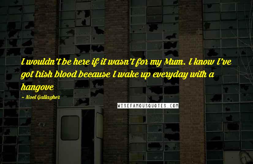 Noel Gallagher Quotes: I wouldn't be here if it wasn't for my Mum. I know I've got Irish blood because I wake up everyday with a hangove