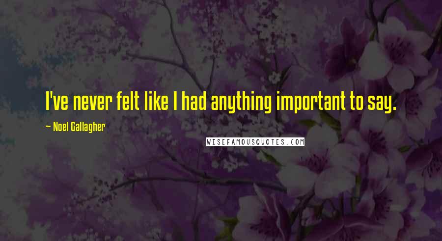 Noel Gallagher Quotes: I've never felt like I had anything important to say.