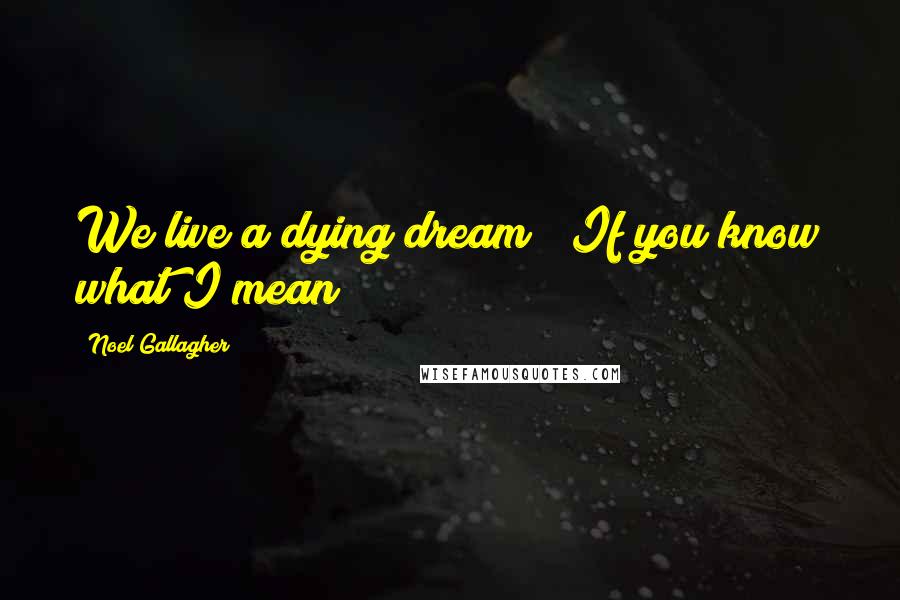 Noel Gallagher Quotes: We live a dying dream / If you know what I mean