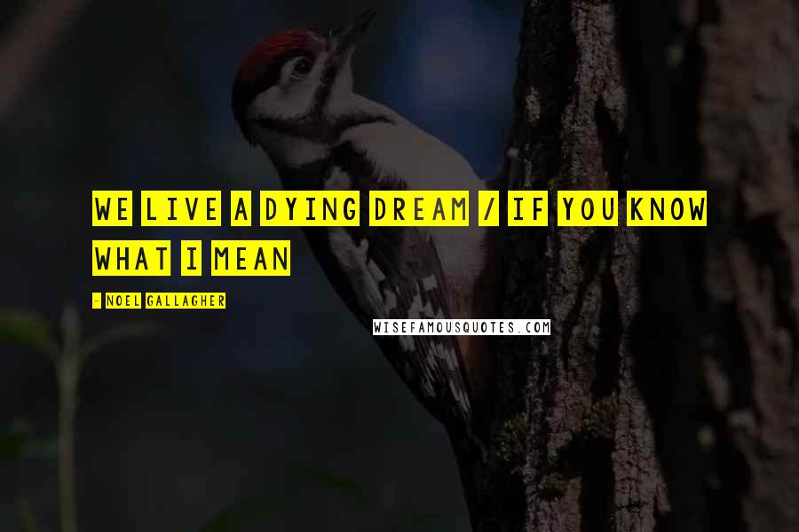 Noel Gallagher Quotes: We live a dying dream / If you know what I mean