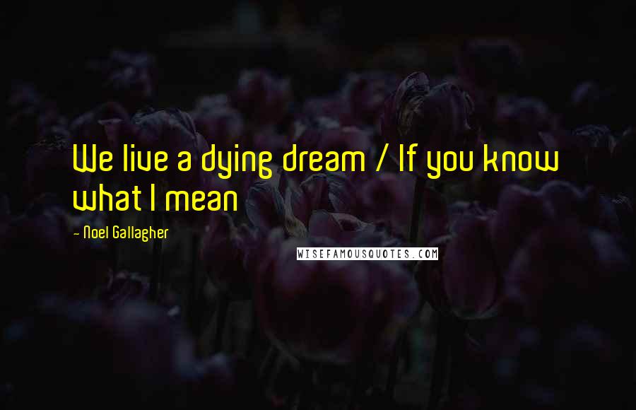 Noel Gallagher Quotes: We live a dying dream / If you know what I mean