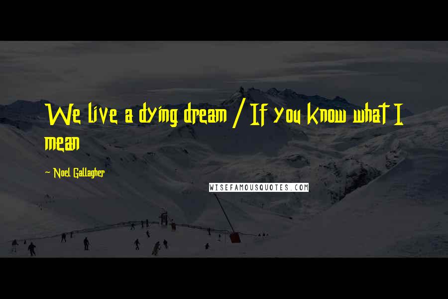 Noel Gallagher Quotes: We live a dying dream / If you know what I mean