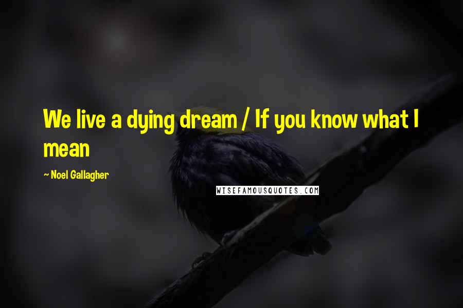 Noel Gallagher Quotes: We live a dying dream / If you know what I mean