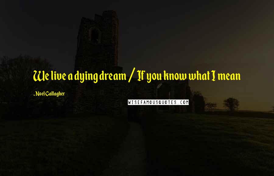 Noel Gallagher Quotes: We live a dying dream / If you know what I mean