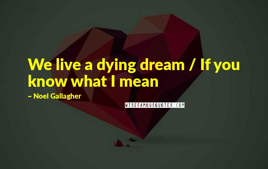 Noel Gallagher Quotes: We live a dying dream / If you know what I mean