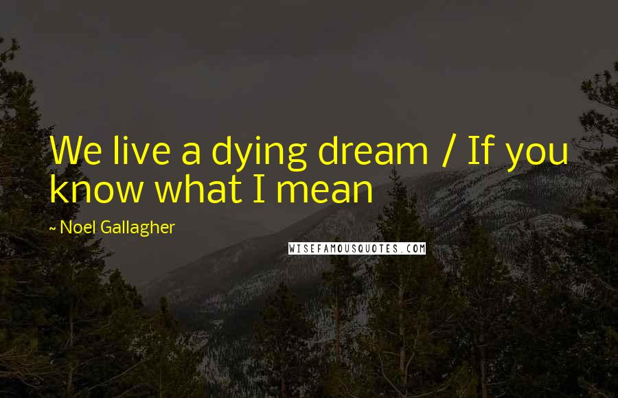 Noel Gallagher Quotes: We live a dying dream / If you know what I mean