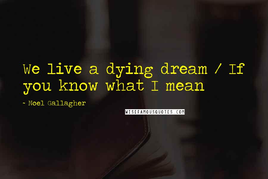 Noel Gallagher Quotes: We live a dying dream / If you know what I mean