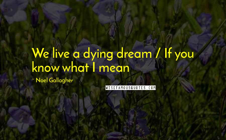 Noel Gallagher Quotes: We live a dying dream / If you know what I mean