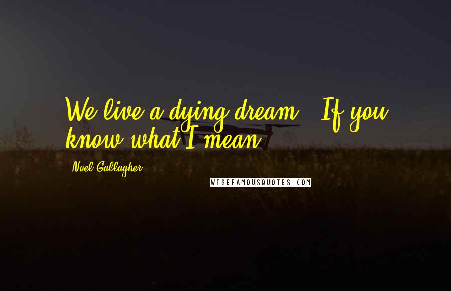 Noel Gallagher Quotes: We live a dying dream / If you know what I mean