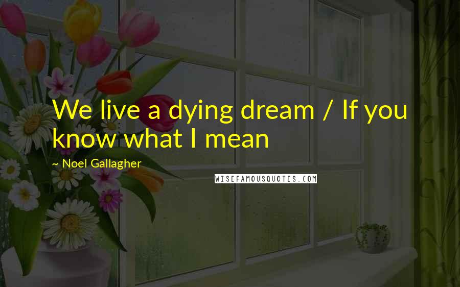 Noel Gallagher Quotes: We live a dying dream / If you know what I mean