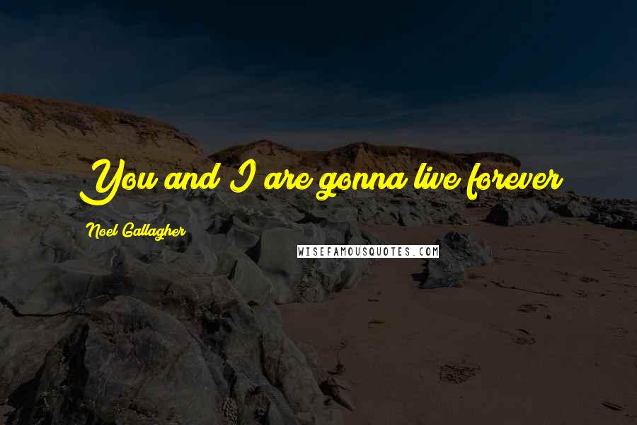 Noel Gallagher Quotes: You and I are gonna live forever