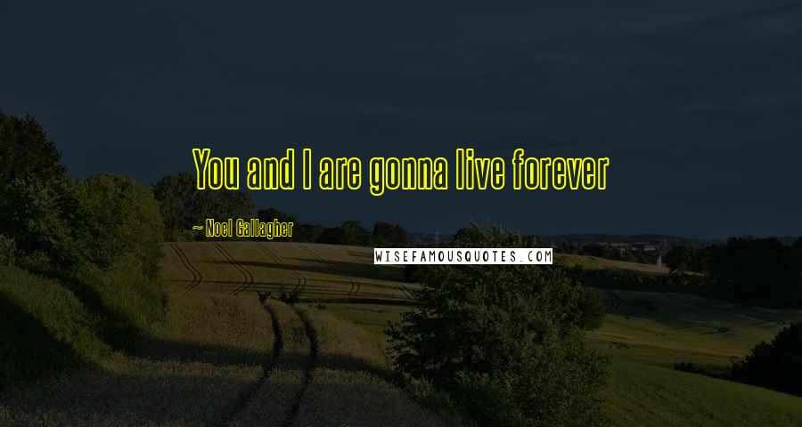 Noel Gallagher Quotes: You and I are gonna live forever