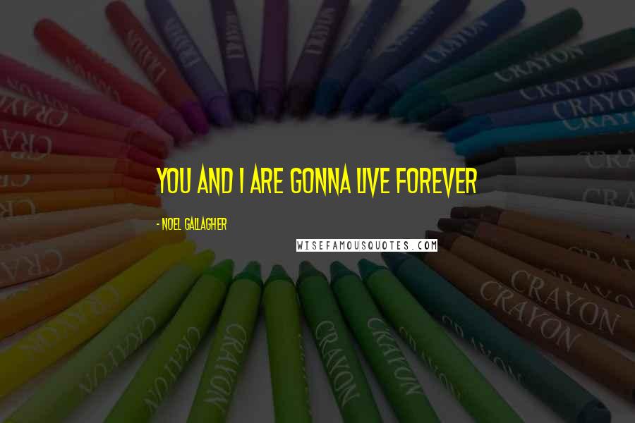 Noel Gallagher Quotes: You and I are gonna live forever