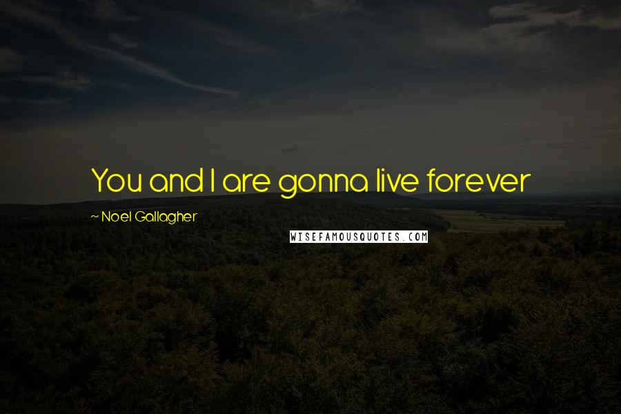 Noel Gallagher Quotes: You and I are gonna live forever