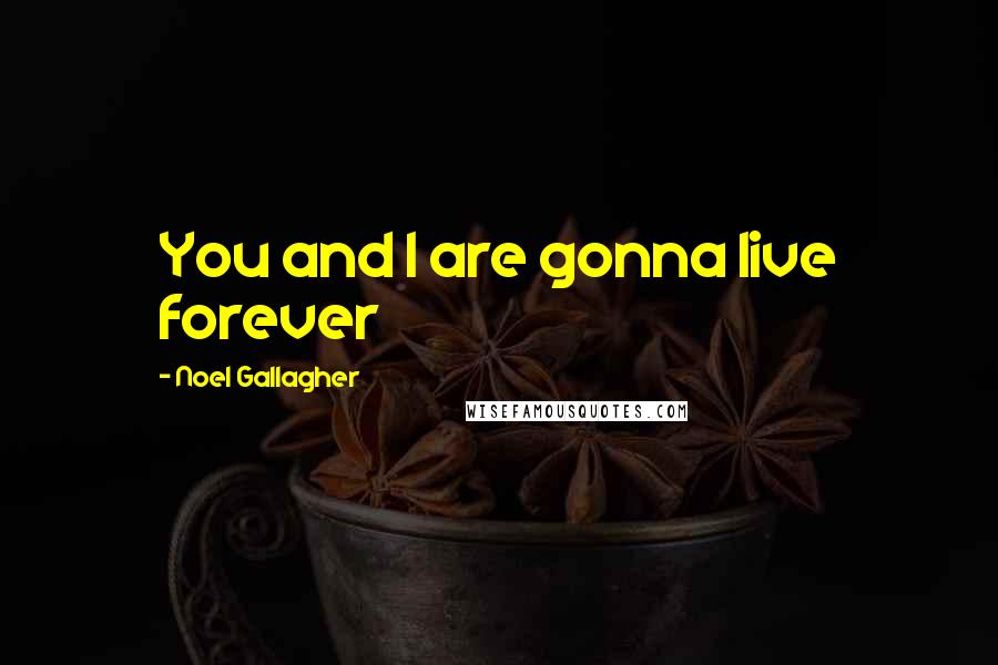 Noel Gallagher Quotes: You and I are gonna live forever