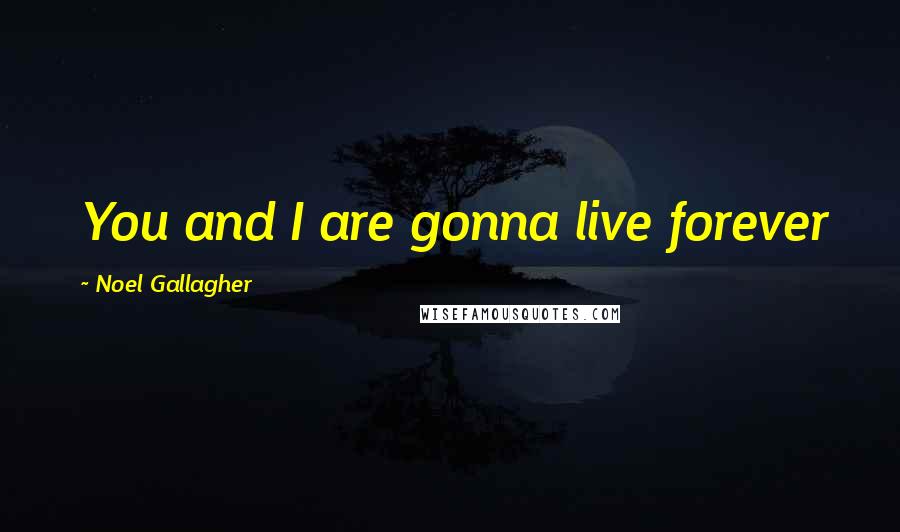 Noel Gallagher Quotes: You and I are gonna live forever