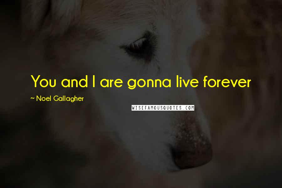 Noel Gallagher Quotes: You and I are gonna live forever