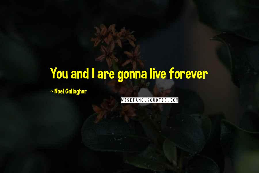 Noel Gallagher Quotes: You and I are gonna live forever