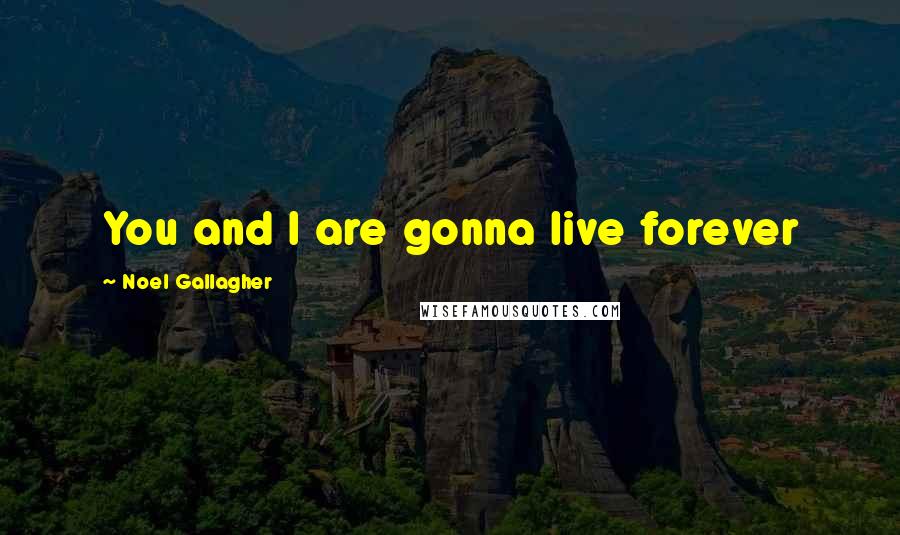 Noel Gallagher Quotes: You and I are gonna live forever