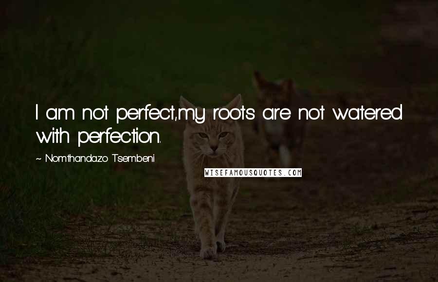 Nomthandazo Tsembeni Quotes: I am not perfect,my roots are not watered with perfection.