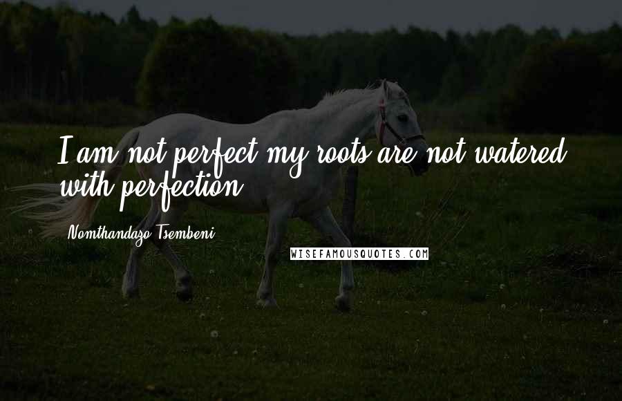 Nomthandazo Tsembeni Quotes: I am not perfect,my roots are not watered with perfection.