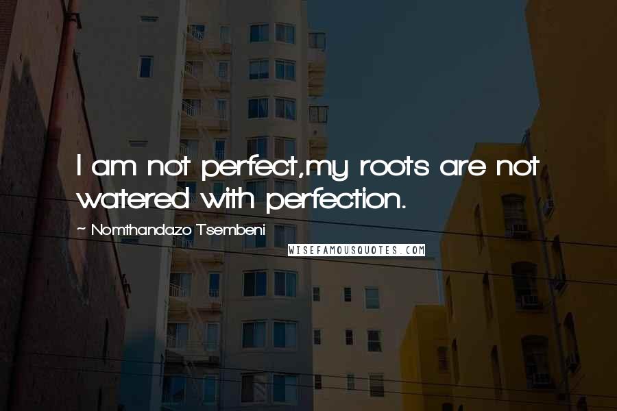 Nomthandazo Tsembeni Quotes: I am not perfect,my roots are not watered with perfection.