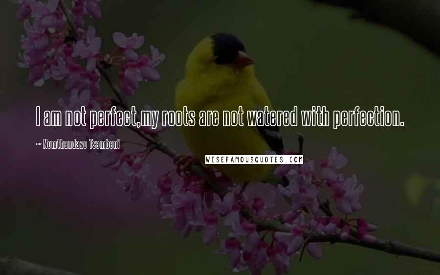 Nomthandazo Tsembeni Quotes: I am not perfect,my roots are not watered with perfection.