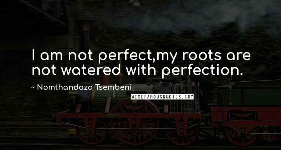 Nomthandazo Tsembeni Quotes: I am not perfect,my roots are not watered with perfection.